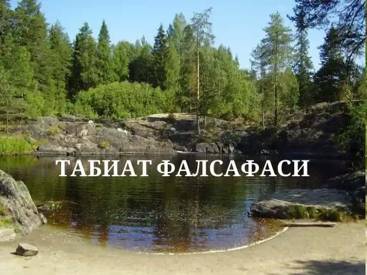 ТАБИАТ ФАЛСАФАСИ