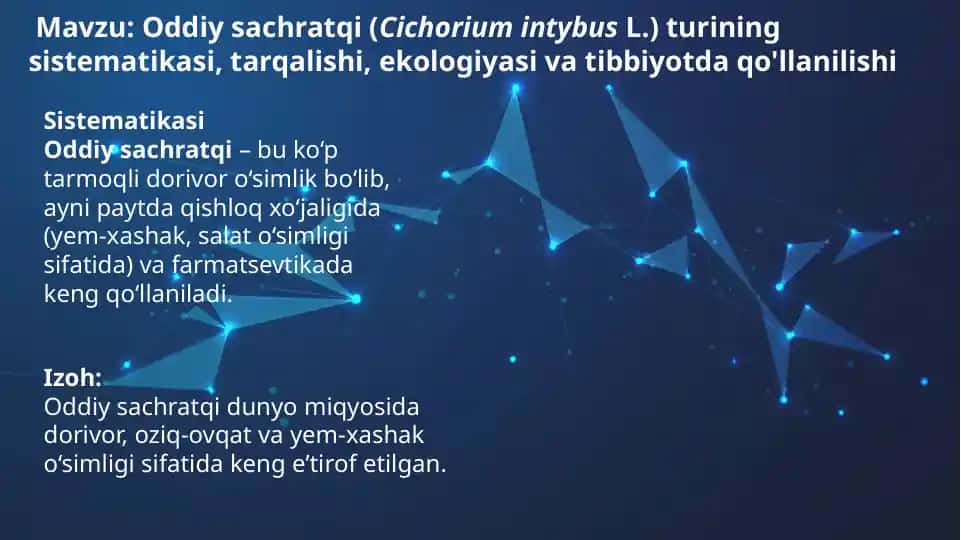 Oddiy sachratqi: Dorivor xususiyatlar va qo‘llanilishi
