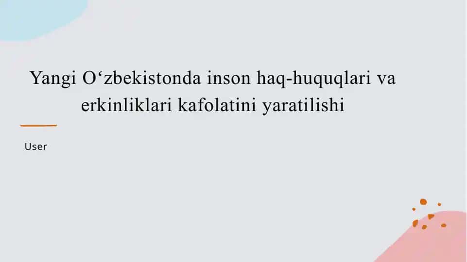 Yangi Oʻzbekistonda inson haq-huquqlari va erkinliklari kafolatini yaratilishi