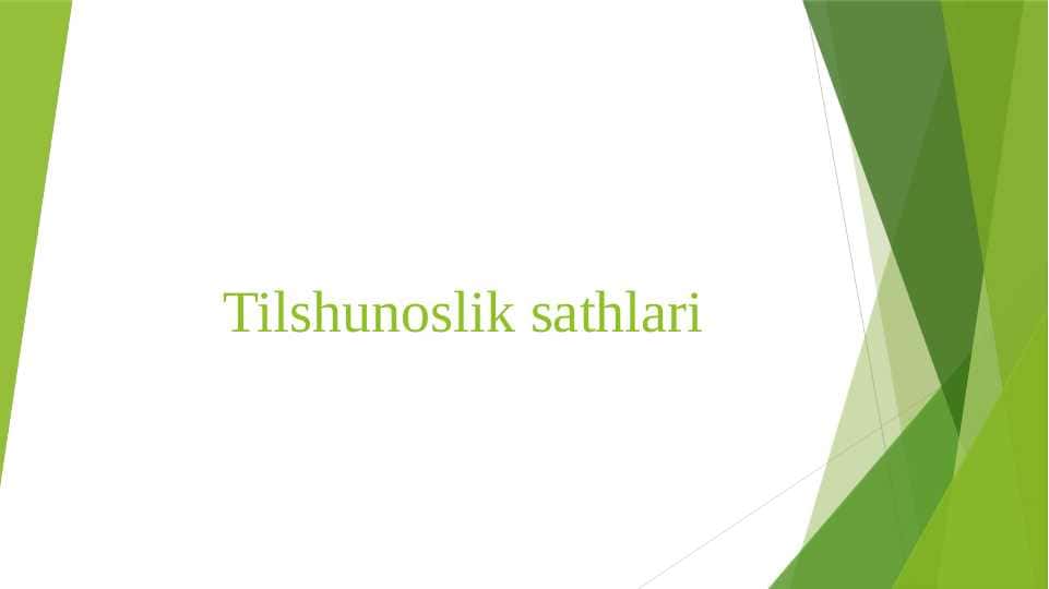 Tilshunoslik sathlari