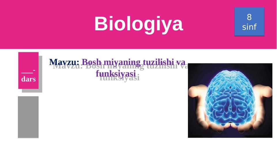 Bosh miyaning tuzilishi va funksiyasi