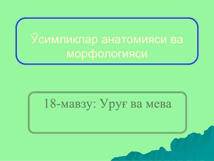 PDF.Ўсимликлар анатомияси ва морфологияси . Уруғ ва меваларни тузилиши