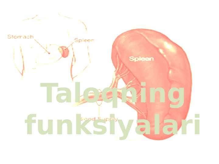 Taloq funksiyalari