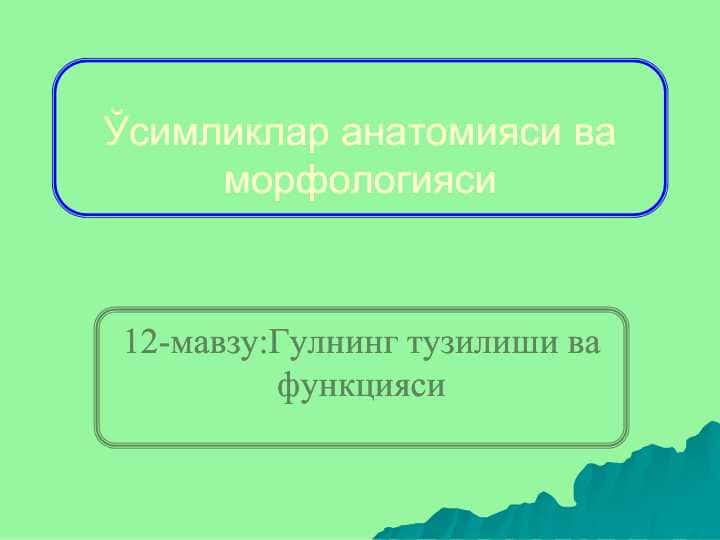 Gulning tuzlishi v funksiyasi
