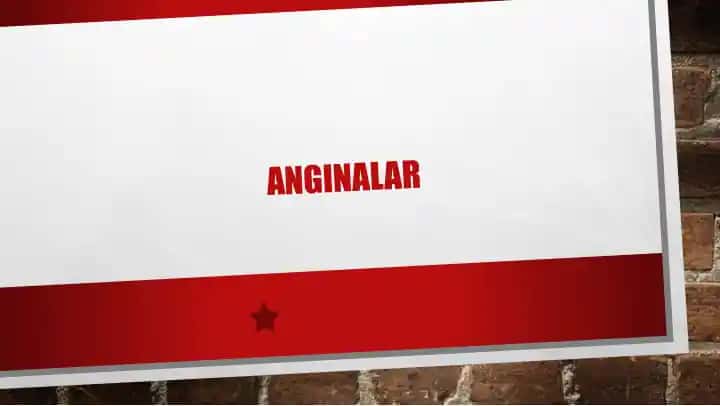 Anginalar
