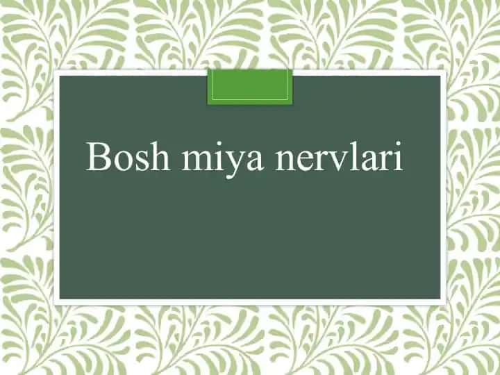 Bosh miya nervlari