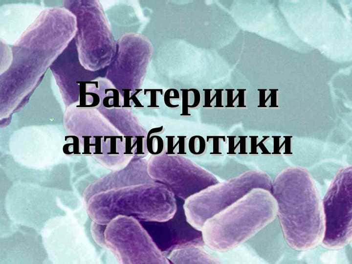 Бактерии и антибиотики