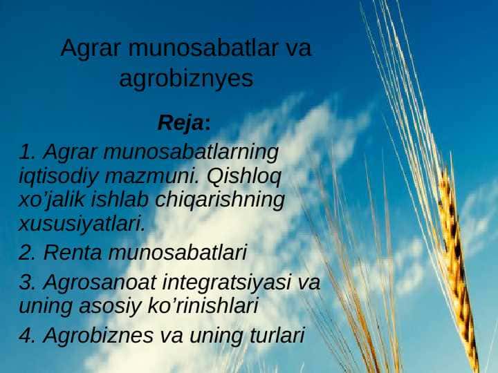 Agrar munosabatlar va agrobiznes