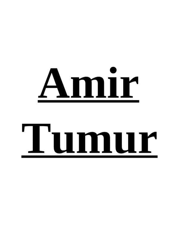 Amir Temur