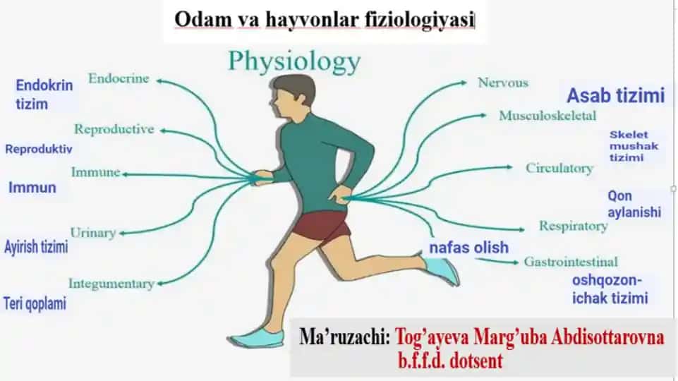 Odam va Hayvonlar Fiziologiyasi