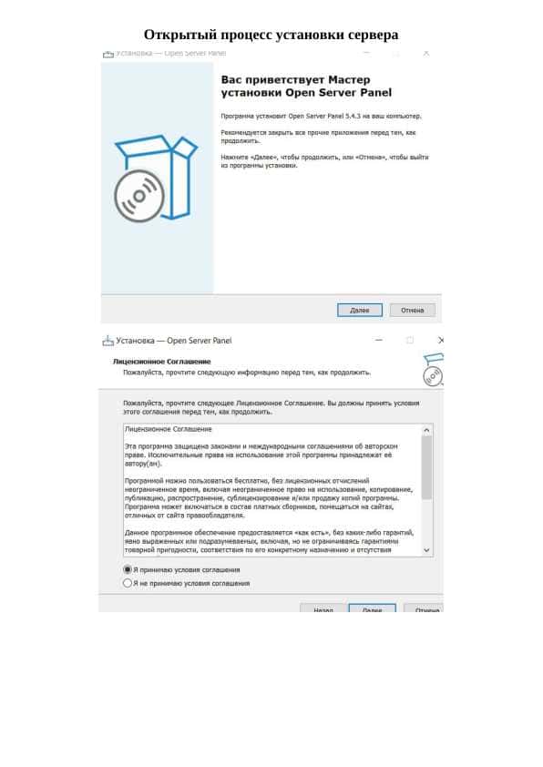 Открытый процесс установки сервера