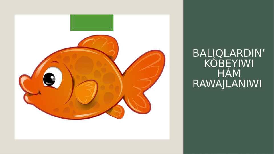 Balıqlardin’ kóbeyiwi hám rawajlanıwı