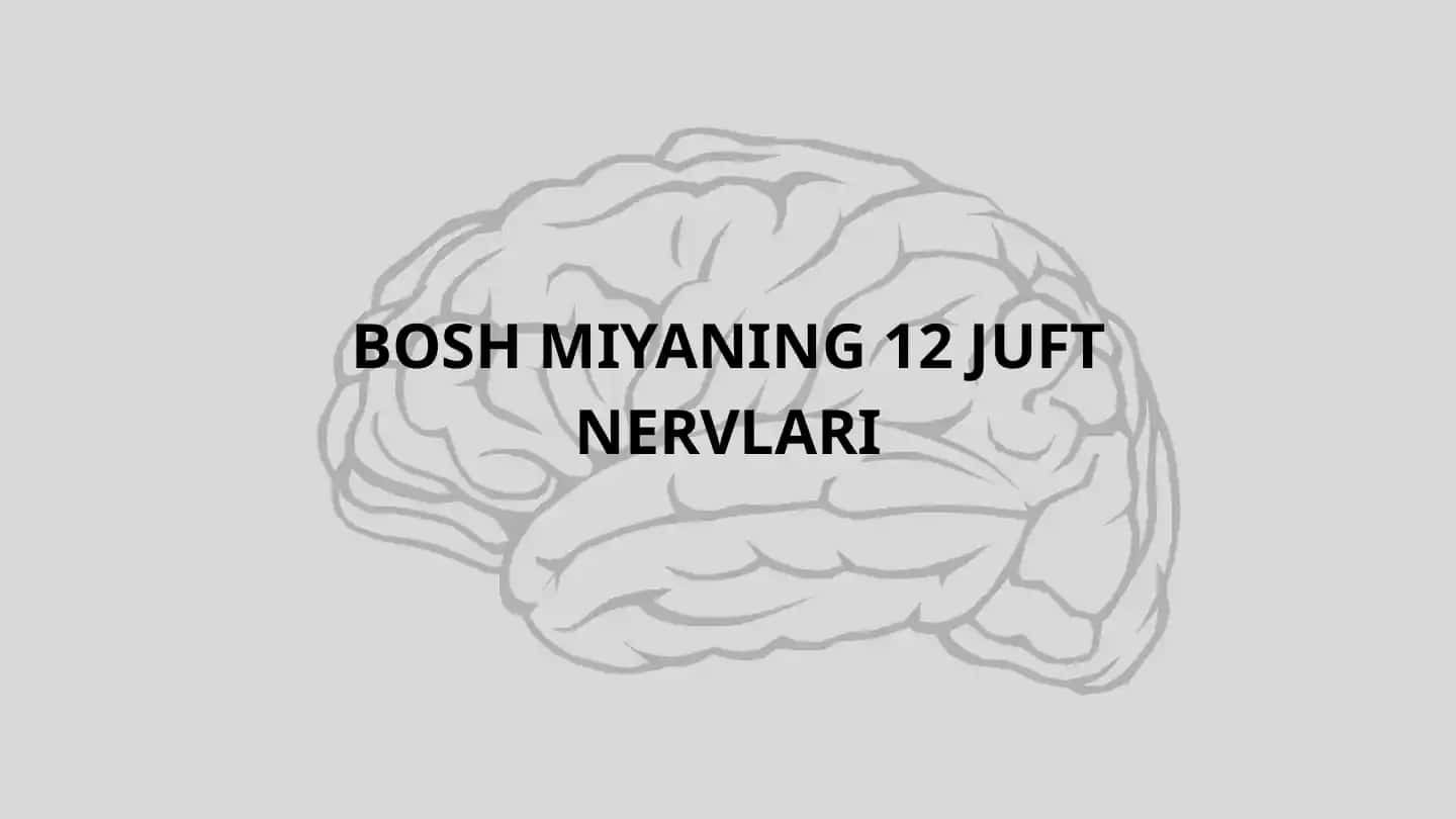 Bosh miyaning 12 juft nervlari