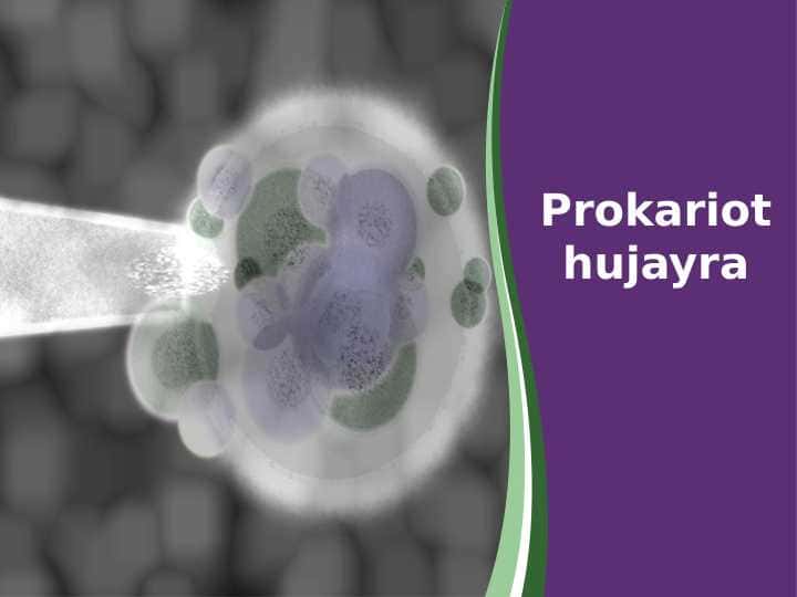 Prokariot hujayra