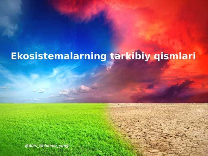 Ekosistemalarning tarkibiy qismlari