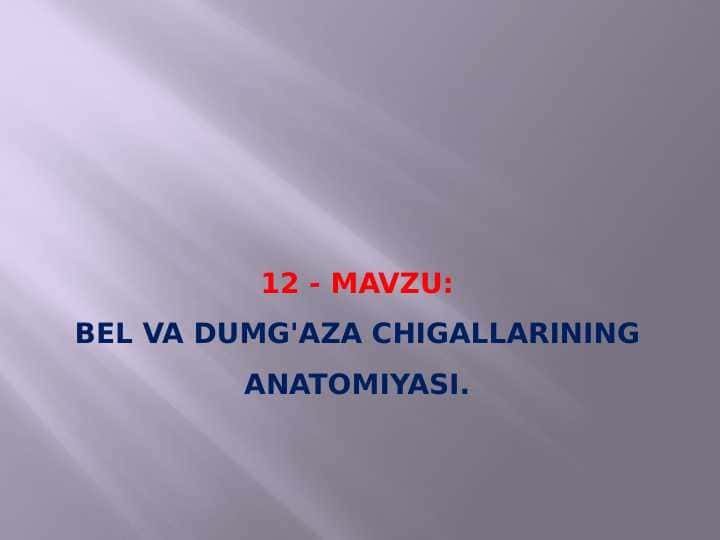 Bel va dumg'aza chigallarining anatomiyasi