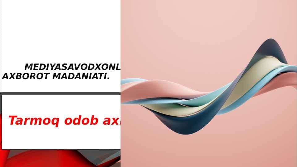 Tarmoq odob axloqi