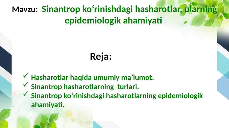 Sinantrop koʻrinishdagi hasharotlar, ularning epidemiologik ahamiyati