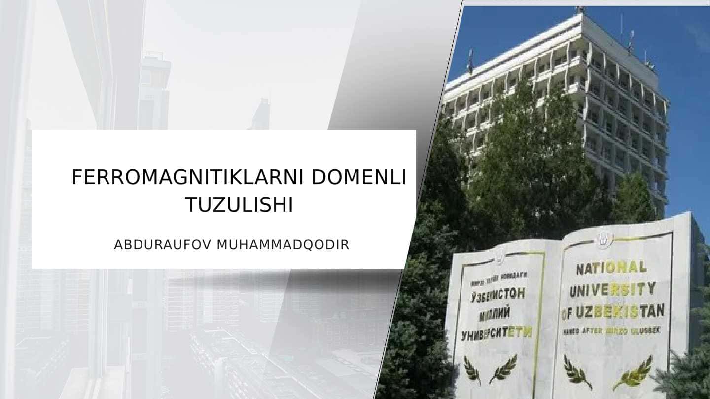 Ferromagnitiarning domenlik hususiyatlari