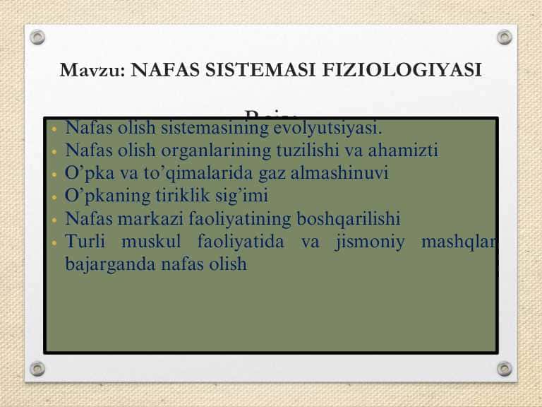 Nafas sistemasi fiziologiyasi, nafas a'zolari haqida ma'lumot