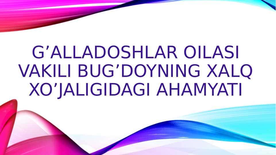 G’ALLADOSHLAR OILASI VAKILI BUG’DOYNING XALQ XO’JALIGIDAGI AHAMYATI