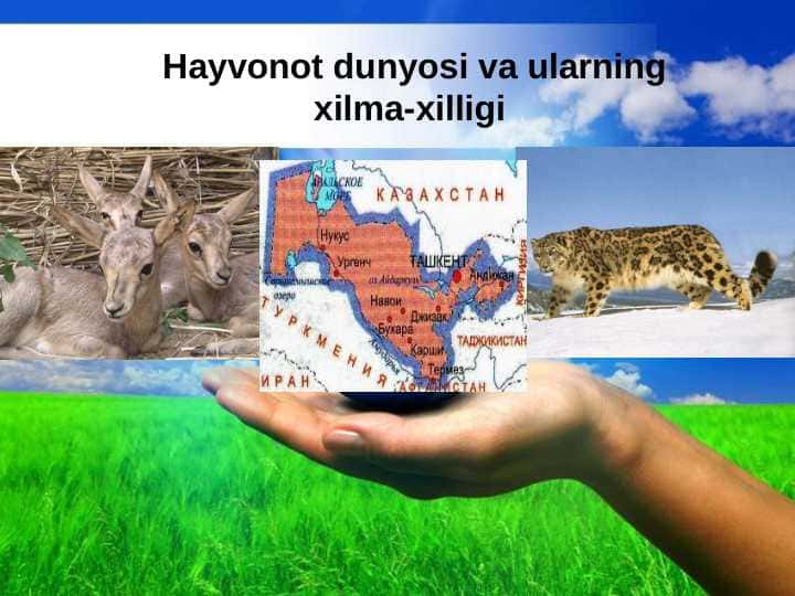 Hayvonot dunyosi va ularning xilma-xilligi