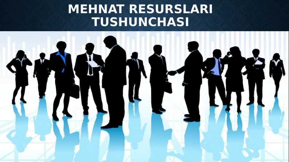 Mehnat resurslari tushunchasi