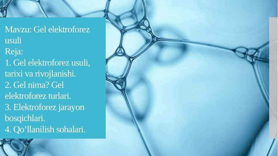 Gel elektroforez usuli