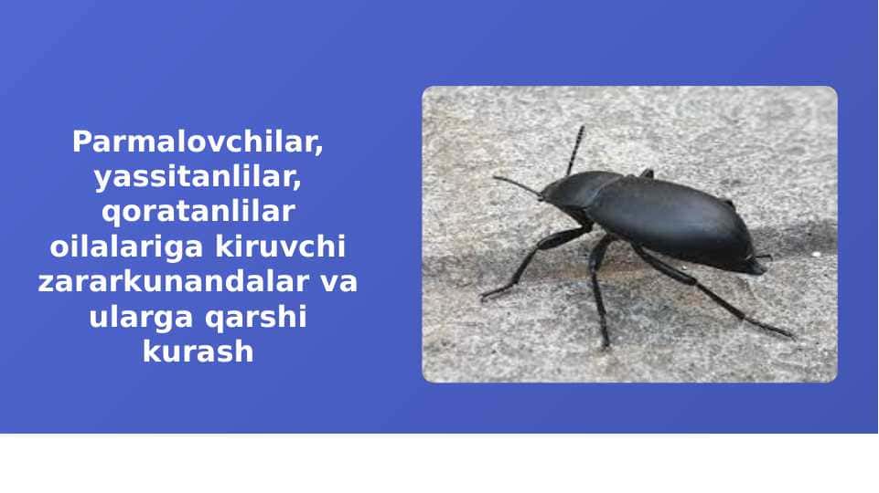 Parmalovchilar, yassitanlilar, qoratanlilar oilalariga kiruvchi zararkunandalar va ularga qarshi kurash