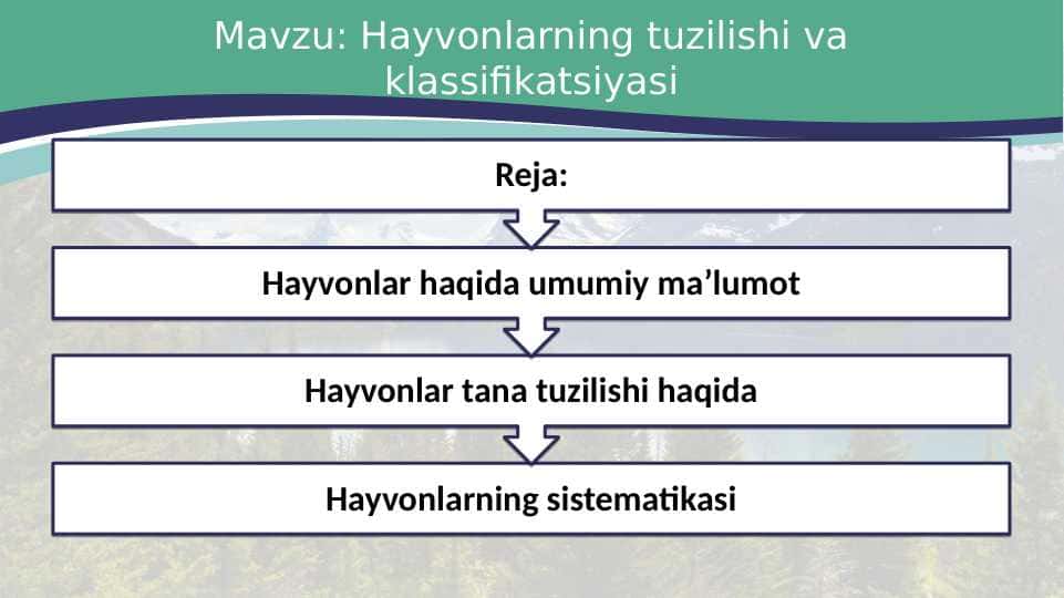 Hayvonlarning tuzilishi va klassifikatsiyasi