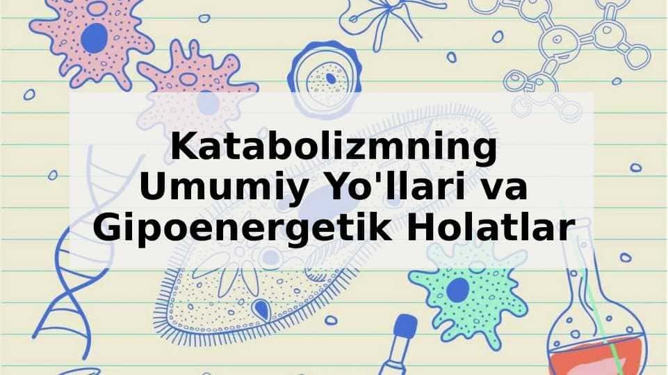 Katabolizmning Umumiy Yo'llari va Gipoenergetik Holatlar