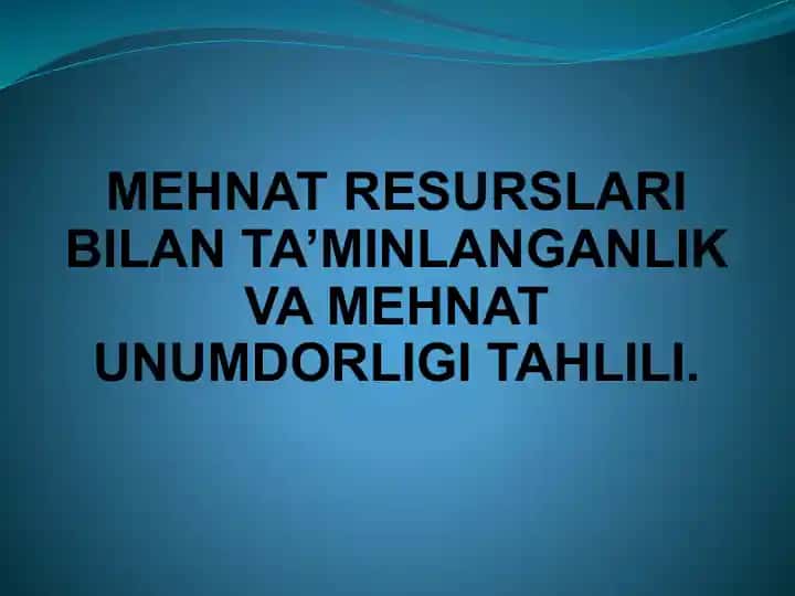 MEHNAT RESURSLARI BILAN TA’MINLANGANLIK VA MEHNAT UNUMDORLIGI TAHLILI
