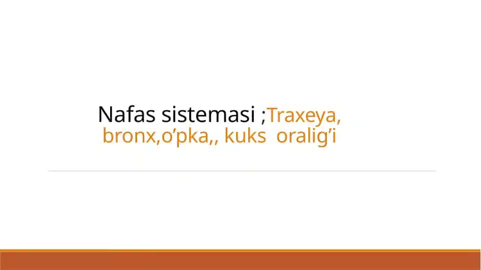nafas sistemasi