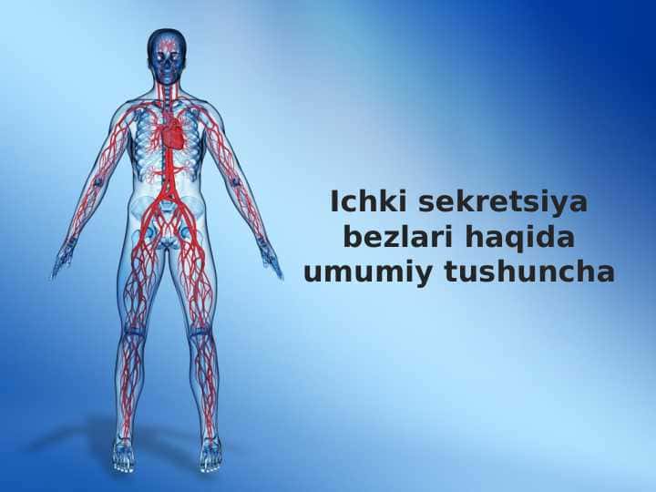 Ichki sekretsiya bezlari haqida umumiy tushuncha