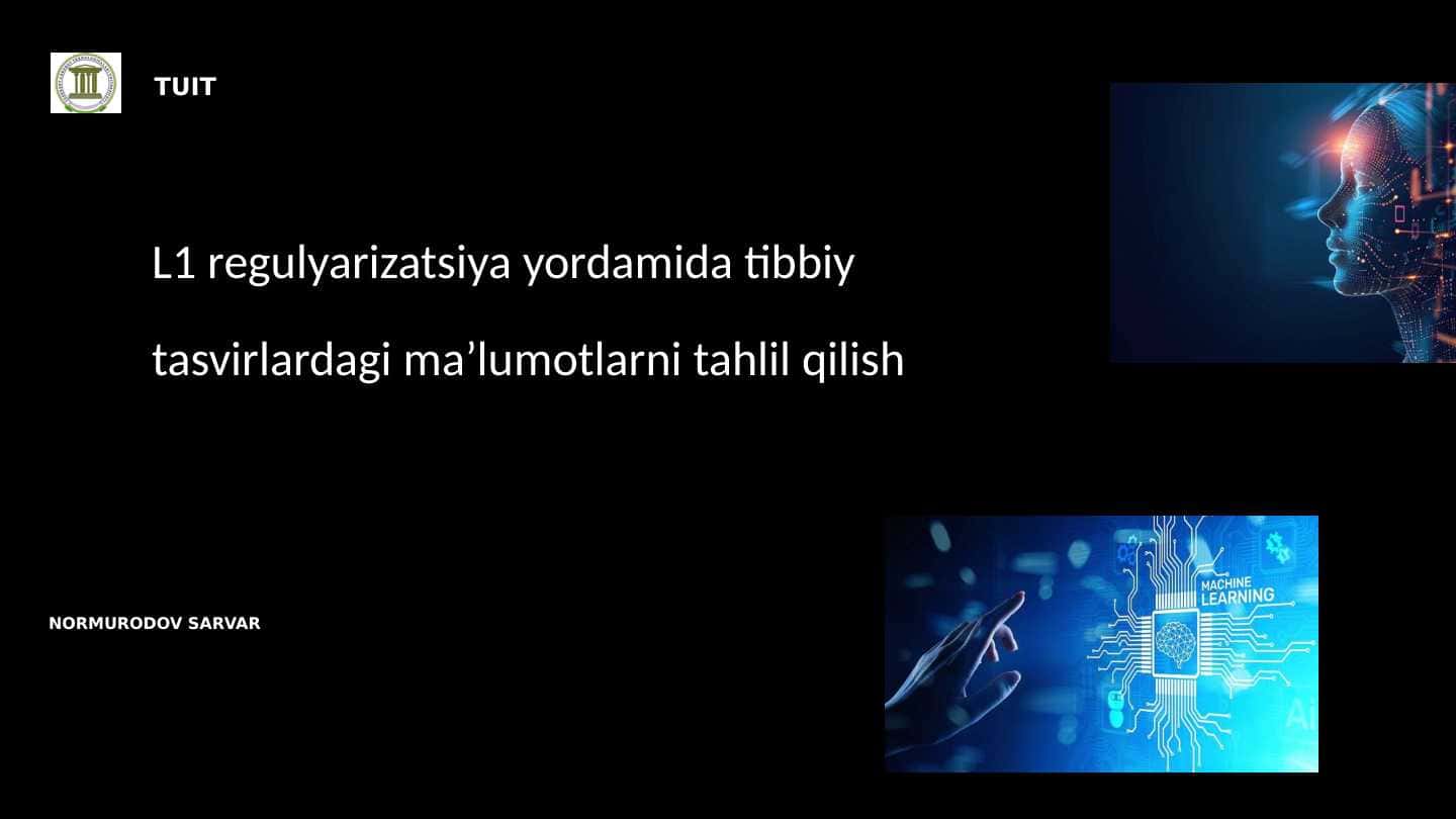 L1 regulyarizatsiyaning tibbiy tasvirlardagi roli