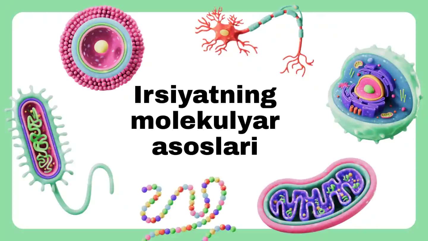 Nuklein kislota