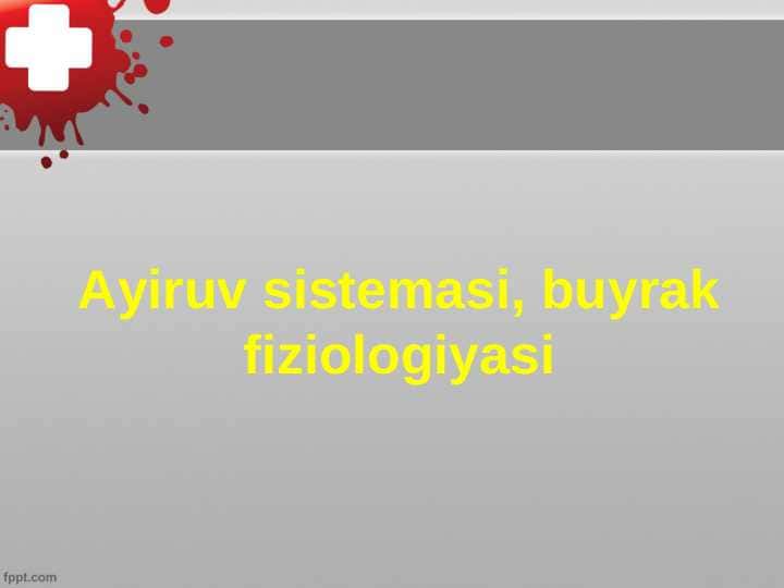 Ayiruv sistemasi, buyrak fiziologiyasi