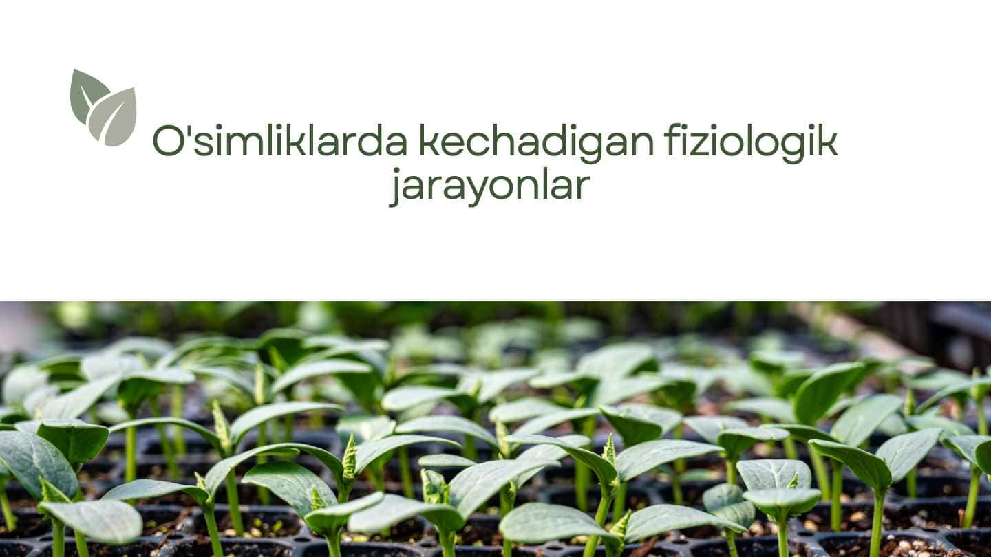 O'simliklarda kechadigan fiziologik jarayonlar