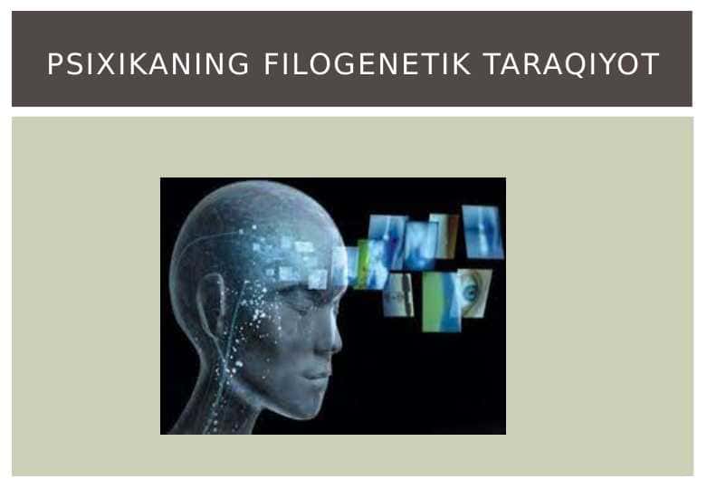 Psixikaning filogenetik taraqqiyoti
