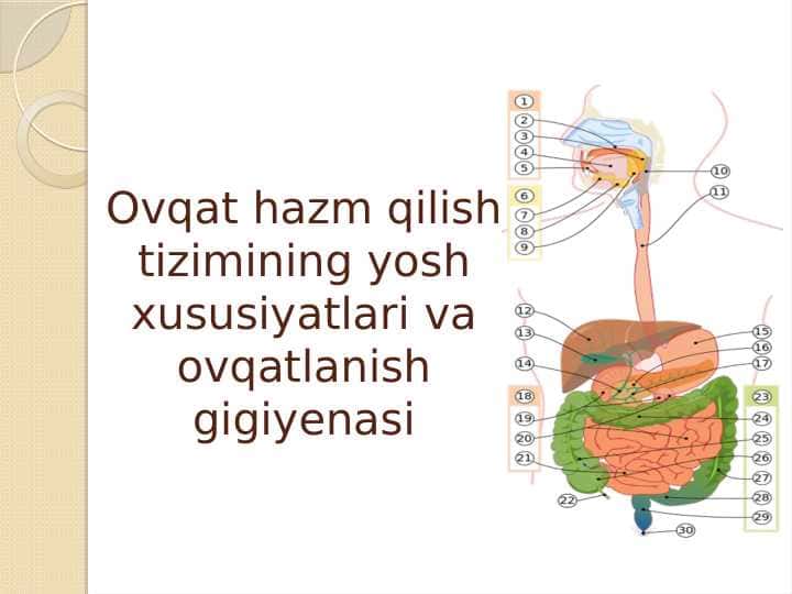 Ovqat hazm qilish tizimining yosh xususiyatlari va ovqatlanish gigiyenasi