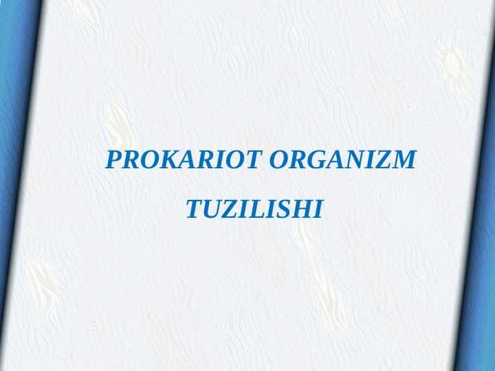 PROKARIOT ORGANIZM TUZILISHI