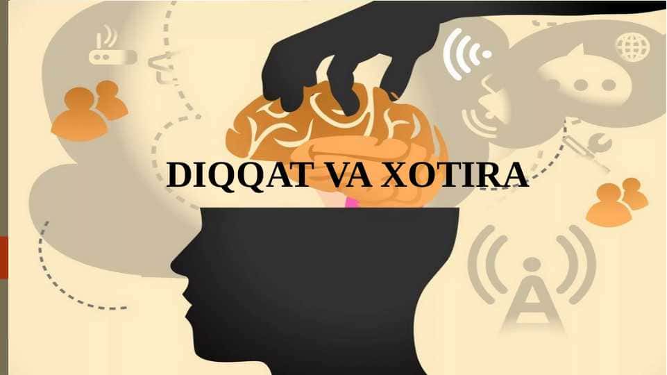 Diqqat va Xotira