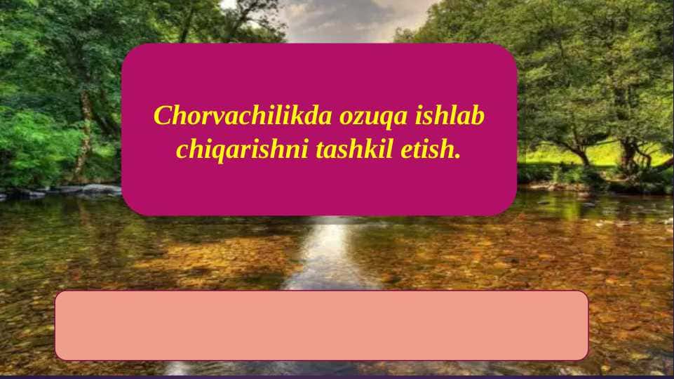 Chorvachilikda ozuqa ishlab chiqarishni tashkil etish