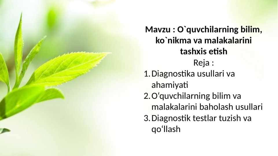 O`quvchilarning bilim, ko`nikma va malakalarini tashxis etish