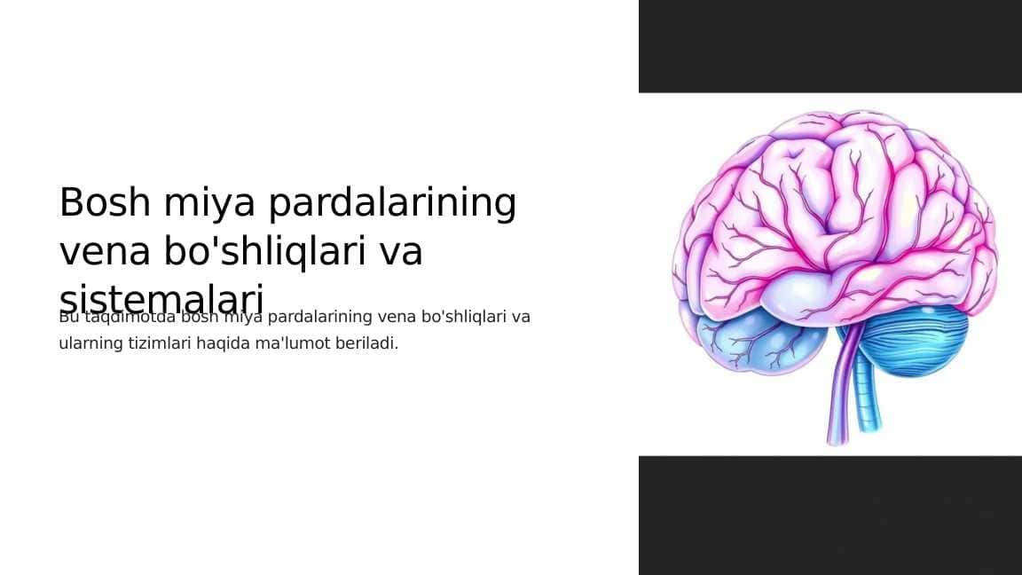 Bosh miya pardalarining vena bo'shliqlari va sistemalari