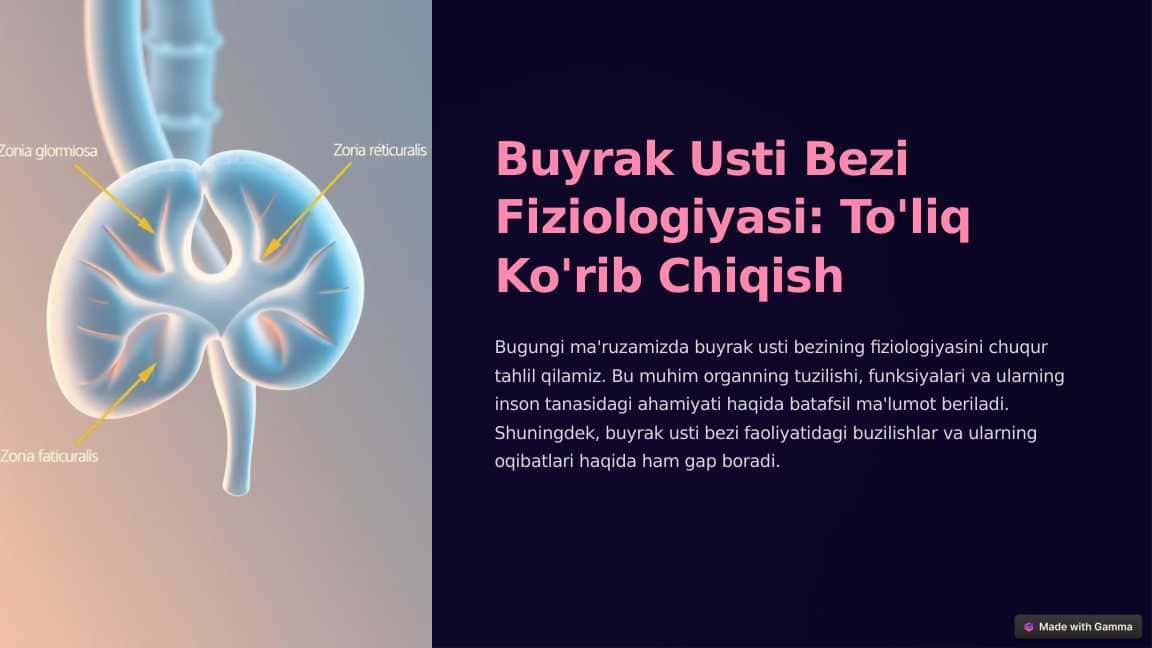 Buyrak Usti Bezi Fiziologiyasi: To'liq Ko'rib Chiqish