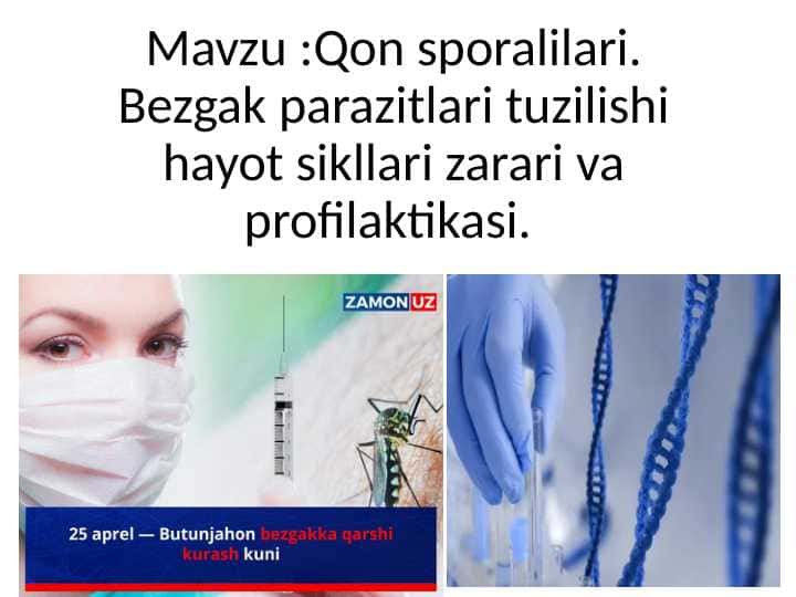 Qon sporalilar (Haemosporidia) turkumi vakillari odam va issiq qonli hayvonlarning qizil qon hujayralari - eritrositlarida parazitlik qiladi. Bu turkumga 100 ga yaqin tur kiradi.