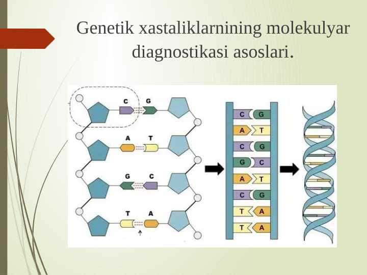 Genetik xastaliklarnining molekulyar diagnostikasi asoslari.