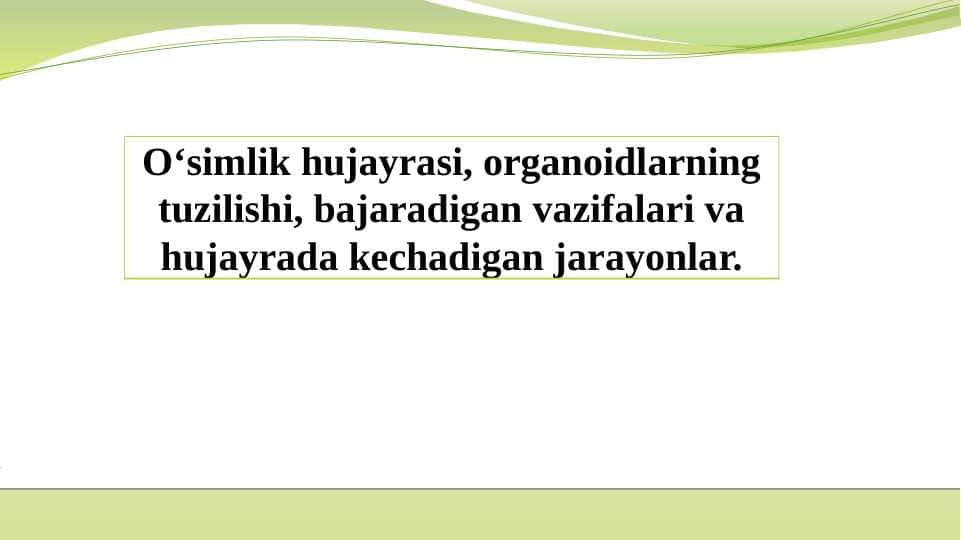O‘simlik hujayrasi, organoidlarning tuzilishi, bajaradigan vazifalari va hujayrada kechadigan jarayonlar