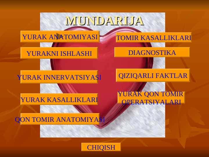 Yurak anatomiyasi